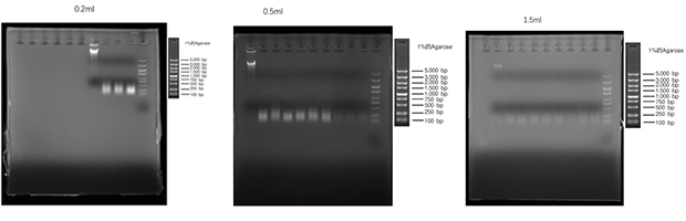 實(shí)驗(yàn)案例